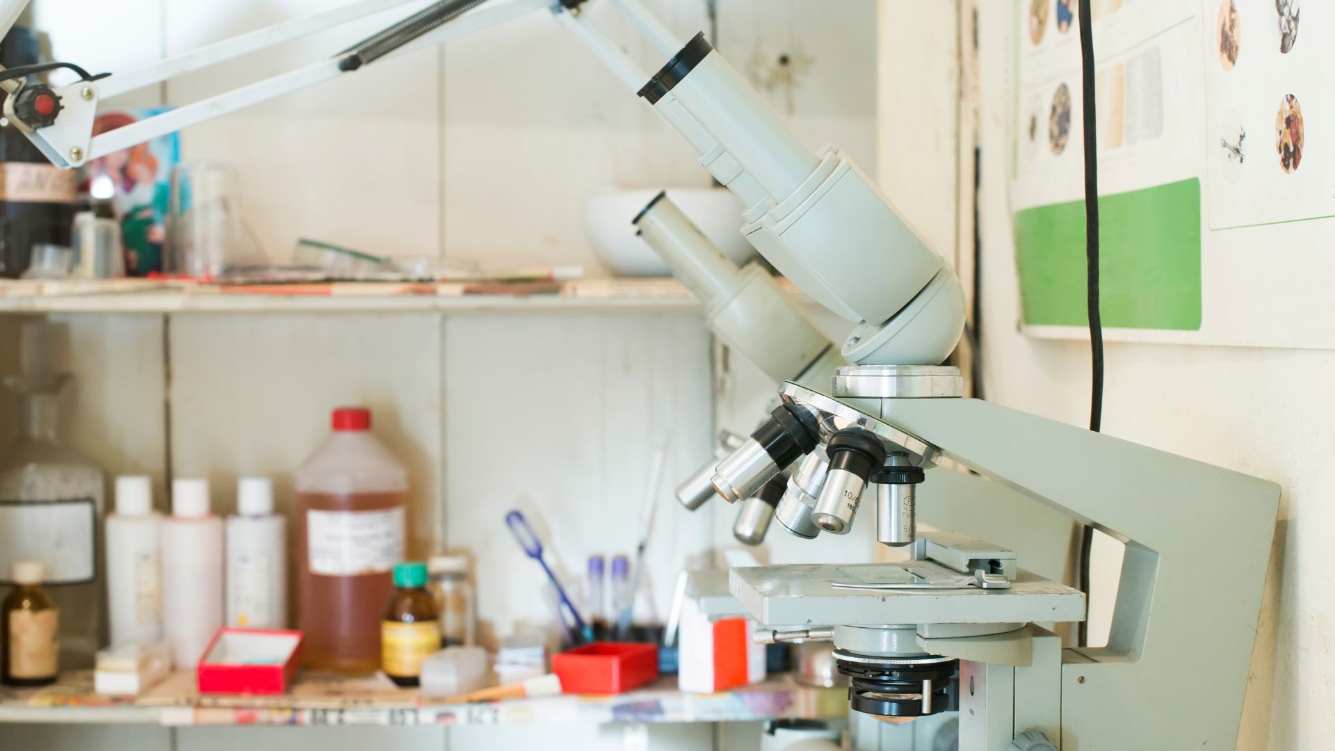 microscope in laboratory