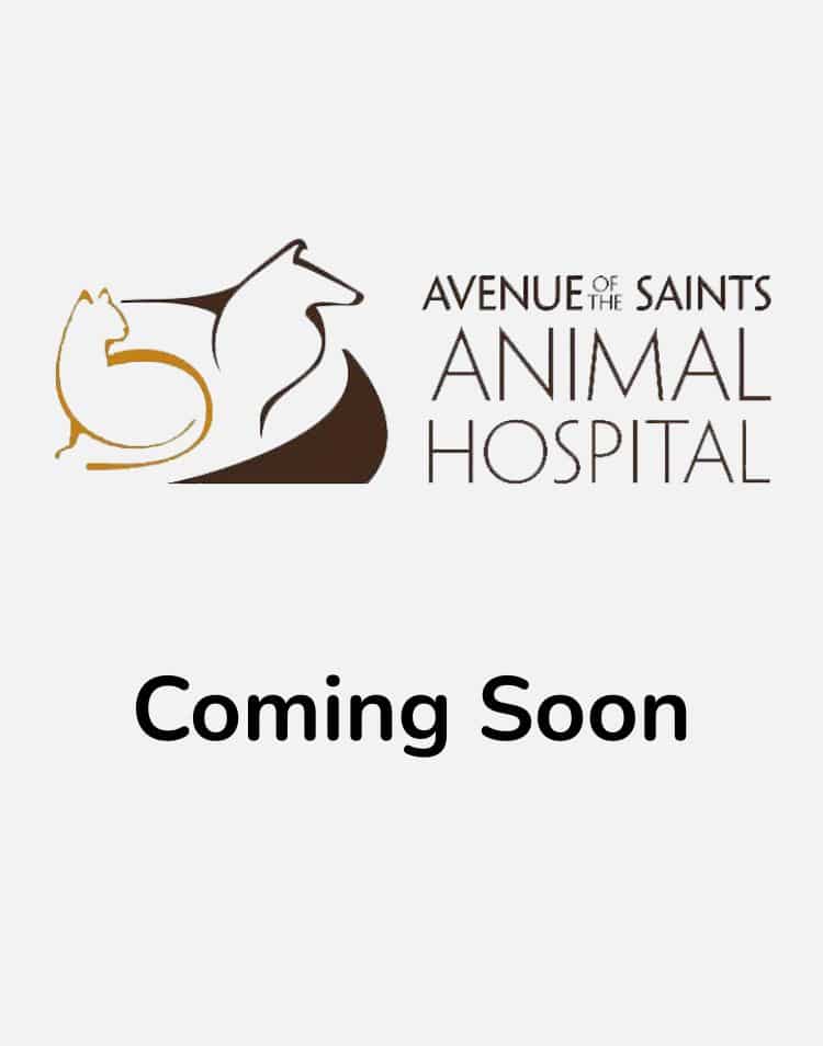 Coming Soon